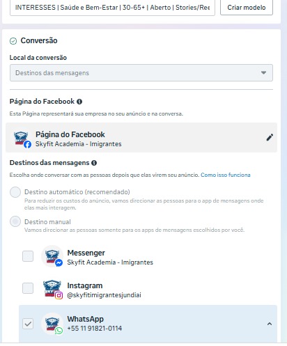 Print da visão geral de campanha da conta de anúncios SkyFit.